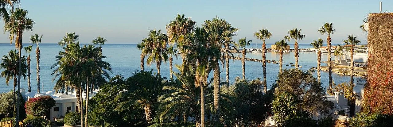 Palms along the seafront at Paphos, Cyprus, with the harbour and a calm sea behind them