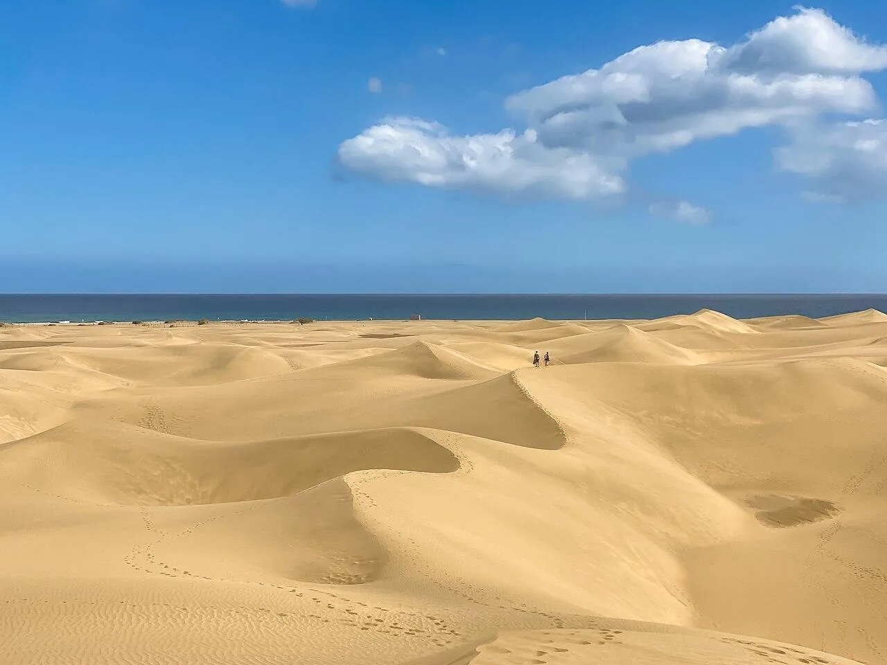 The dunes of Maspalomas in southern Gran Canaria, rolling down to the sea under a clear sky