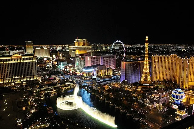 The Venetian Resort